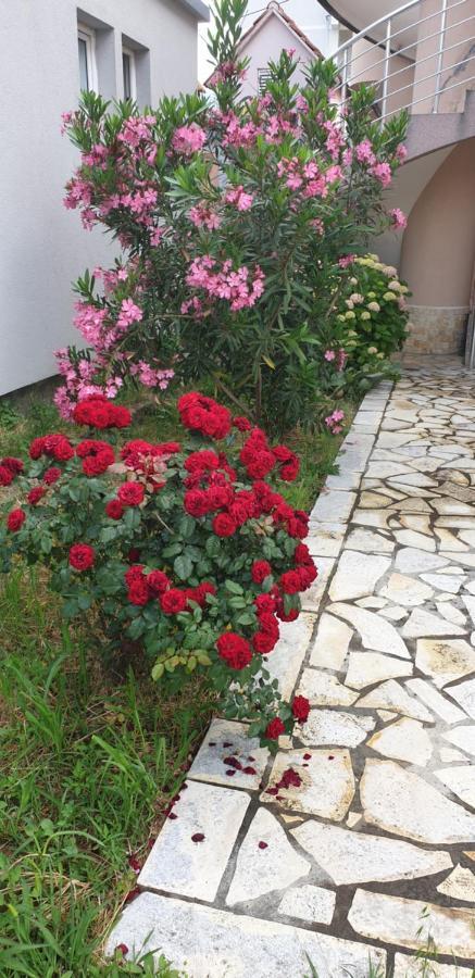 באר Apartments Cindrak מראה חיצוני תמונה